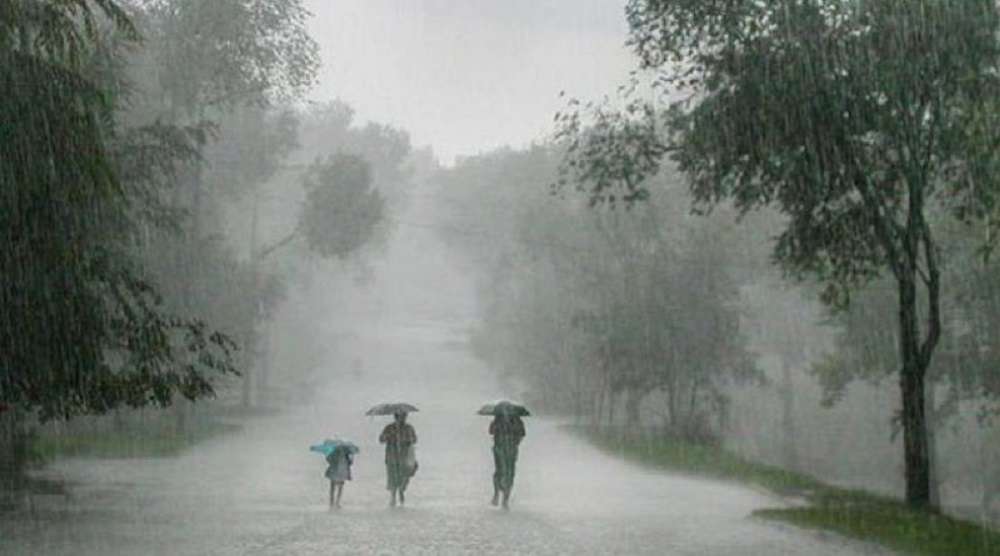 हाेमपेज